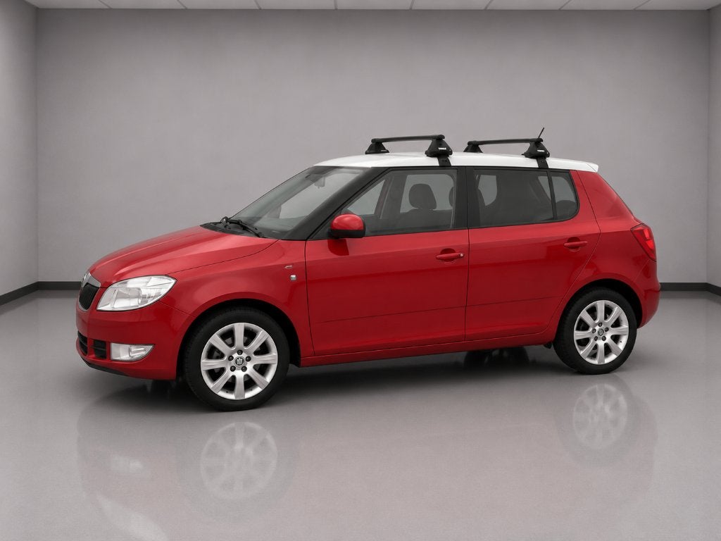 SKODA FABIA, Autos, Rouge, Euro 5, Achat, Entreprise