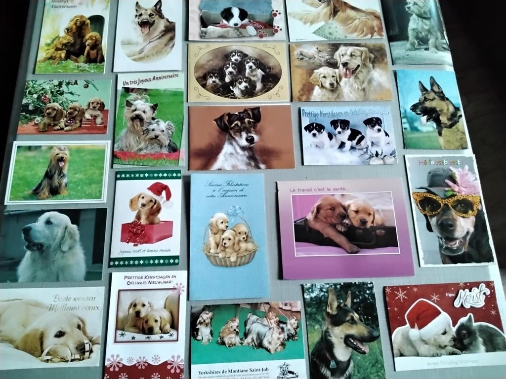 Cartes postales  sur le thème des chiens de toute race (42), Collections, Cartes postales | Animaux, Enlèvement ou Envoi, 1980 à nos jours