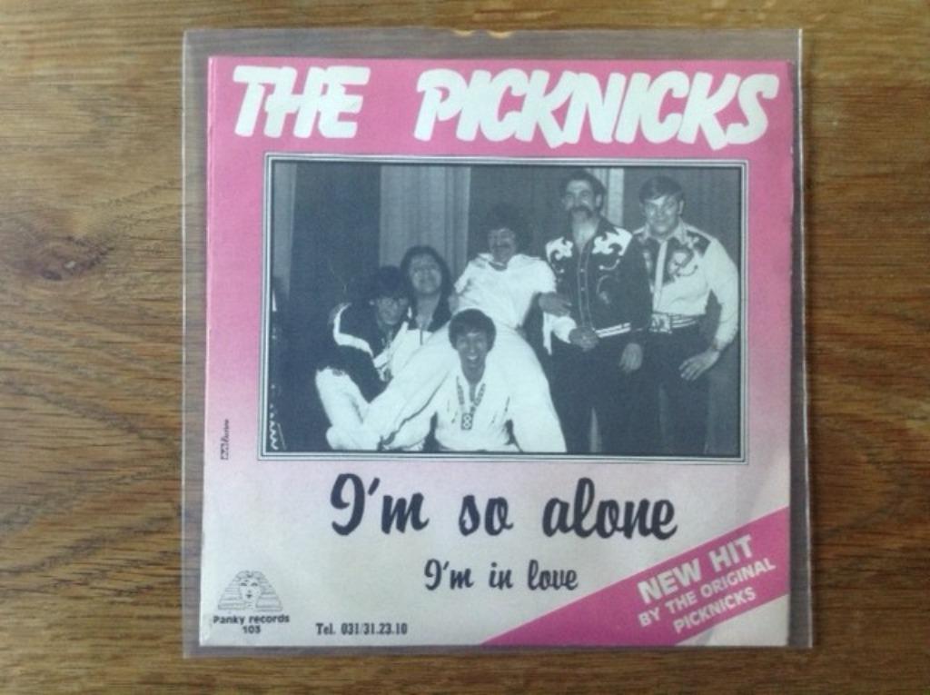 single the picknicks, Cd's en Dvd's, Vinyl Singles, Single, Pop, 7 inch, Ophalen of Verzenden