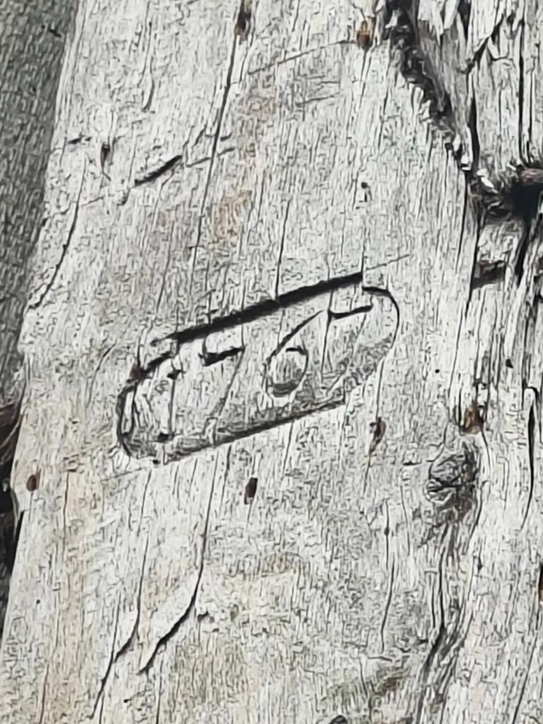 Eiken balken, Ophalen, Gebruikt, Balken, Hardhout