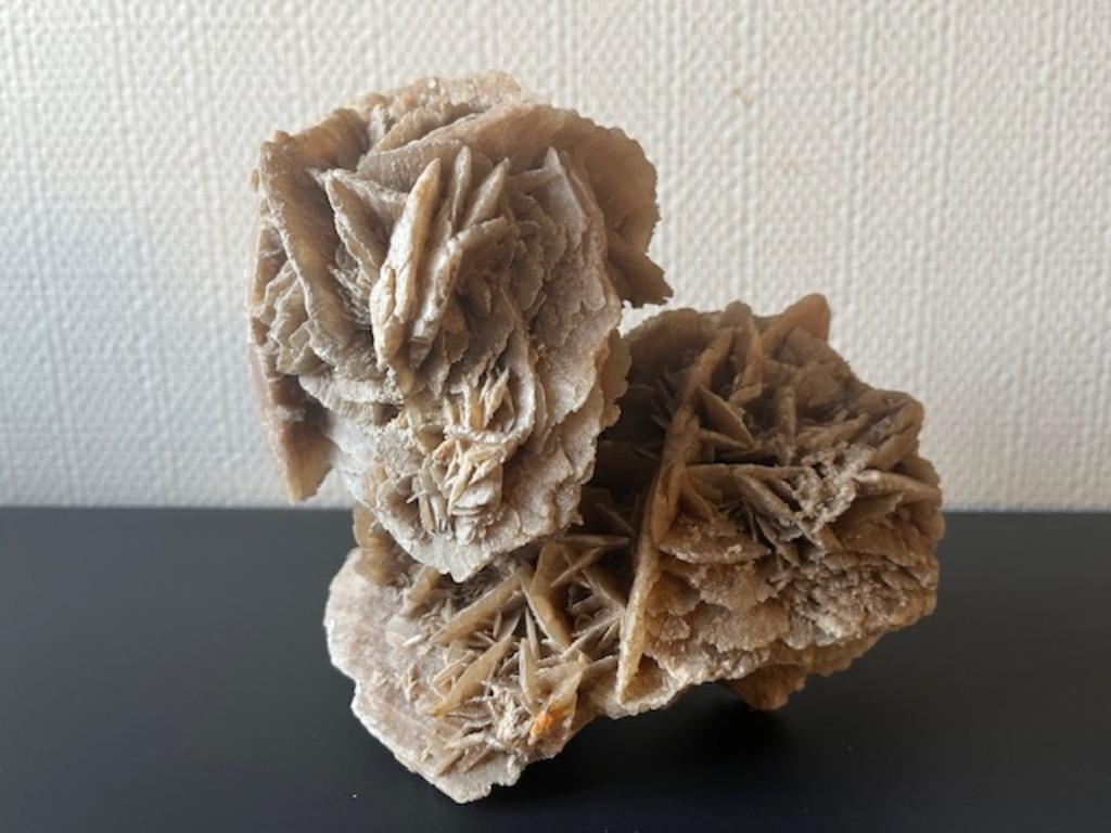 Mooie grote woestijnroos, Verzamelen, Ophalen