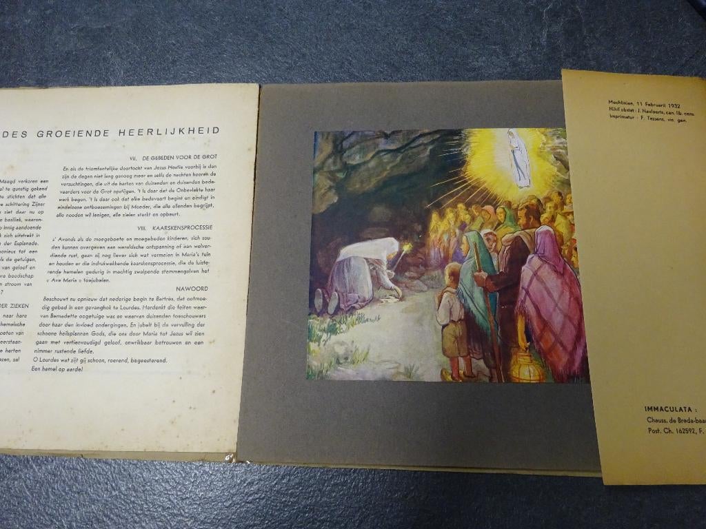 Groot plakboek Lourdes uit 1932., Boeken, Prentenboeken en Plaatjesalbums, Ophalen of Verzenden, Gelezen, Diverse auteurs, Plaatjesalbum