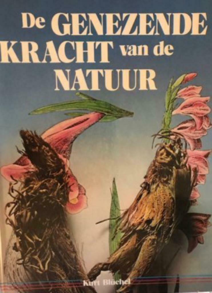 De genezende kracht van de natuur, Kurt Bluchel, Livres, Santé, Diététique & Alimentation, Enlèvement, Maladie et Allergie