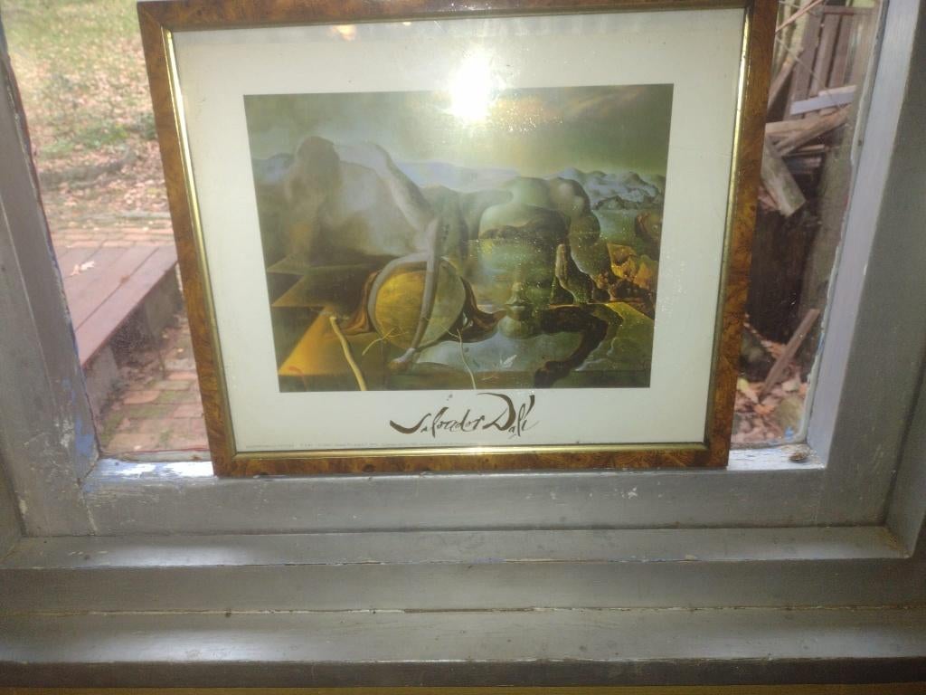 Litho kunstdruk Salvador Dali, Antiquités & Art, Envoi
