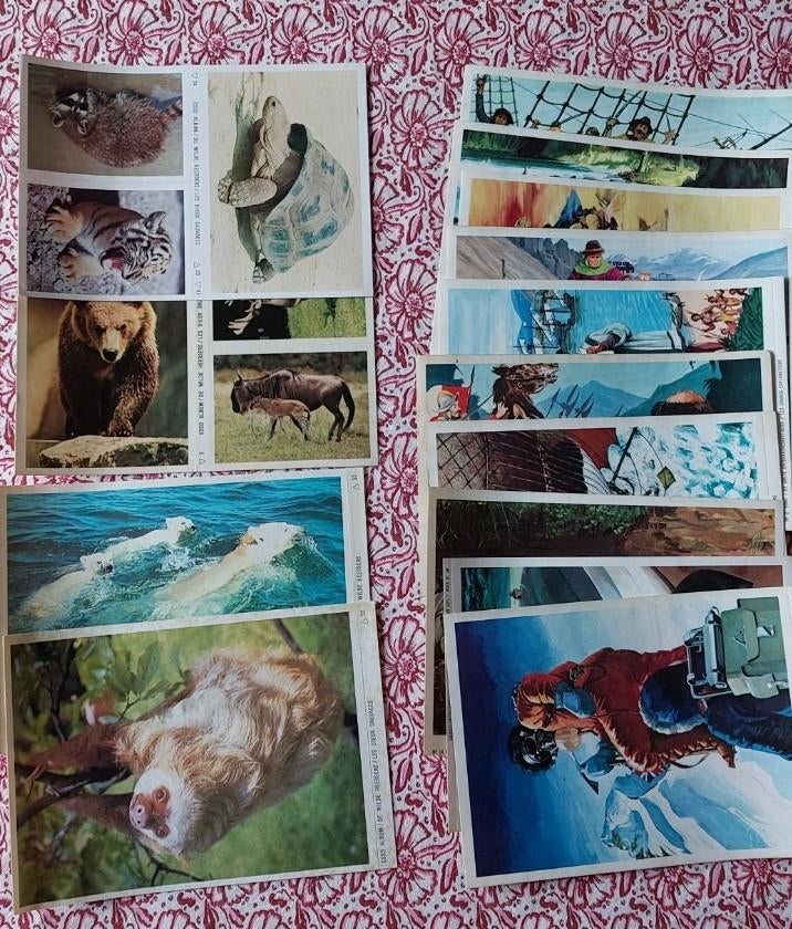 14 Esso-foto's. Wilde goden en grote ontdekkingsreizigers, Boeken, Ophalen of Verzenden, Zo goed als nieuw