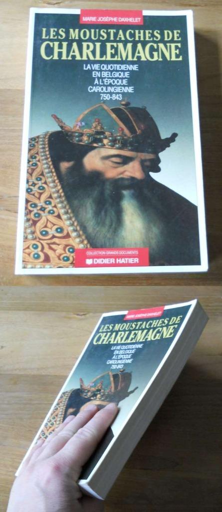 La vie quotidienne en Belgique à l'époque carolingienne, Boeken, Geschiedenis | Nationaal, Gelezen, Ophalen of Verzenden