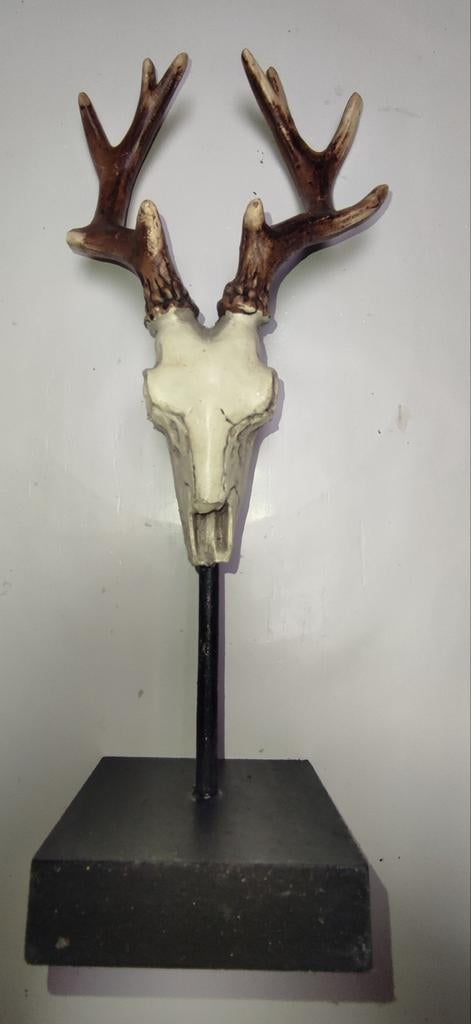 Tête de cerf, Enlèvement ou Envoi