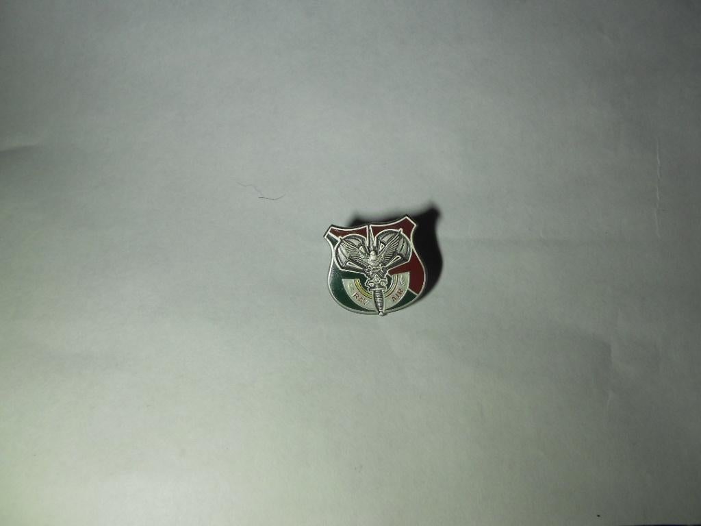 Pin, Collections, Objets militaires | Général, Enlèvement, Autres, Emblème ou Badge
