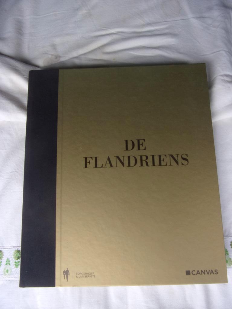 Wielrennen : DE FLANDRIENS, Ophalen of Verzenden, Zo goed als nieuw