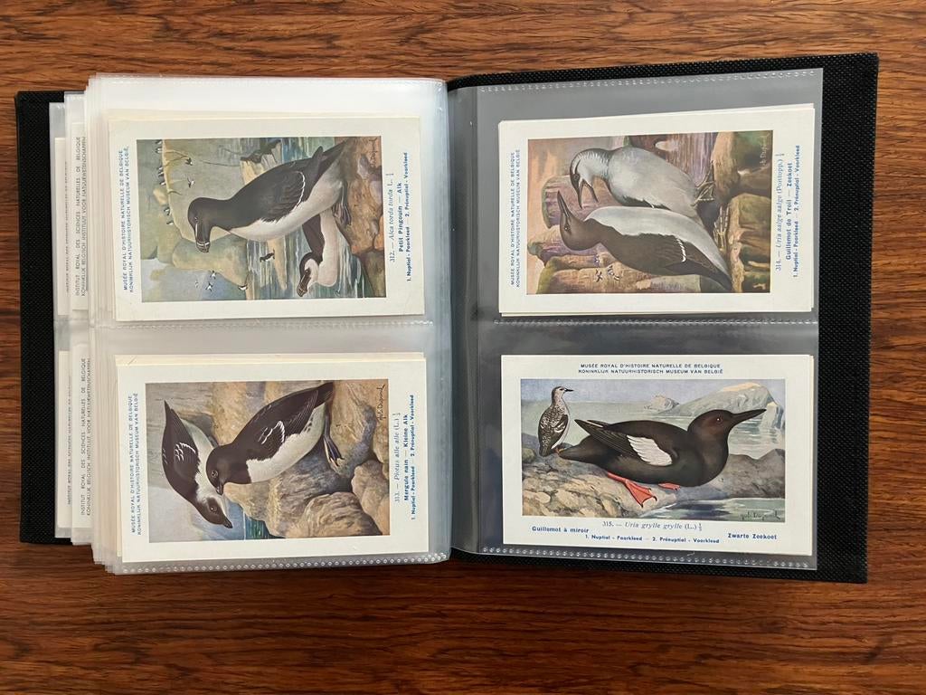 Oiseaux de la faune belge - 198 cartes postales dans album, Collections, Enlèvement ou Envoi, 1940 à 1960, Non affranchie, Oiseaux