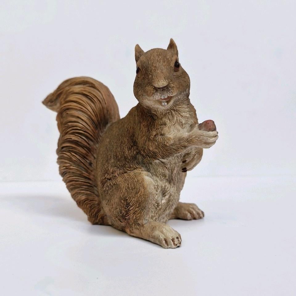 🐿 Écureuil, Enlèvement ou Envoi