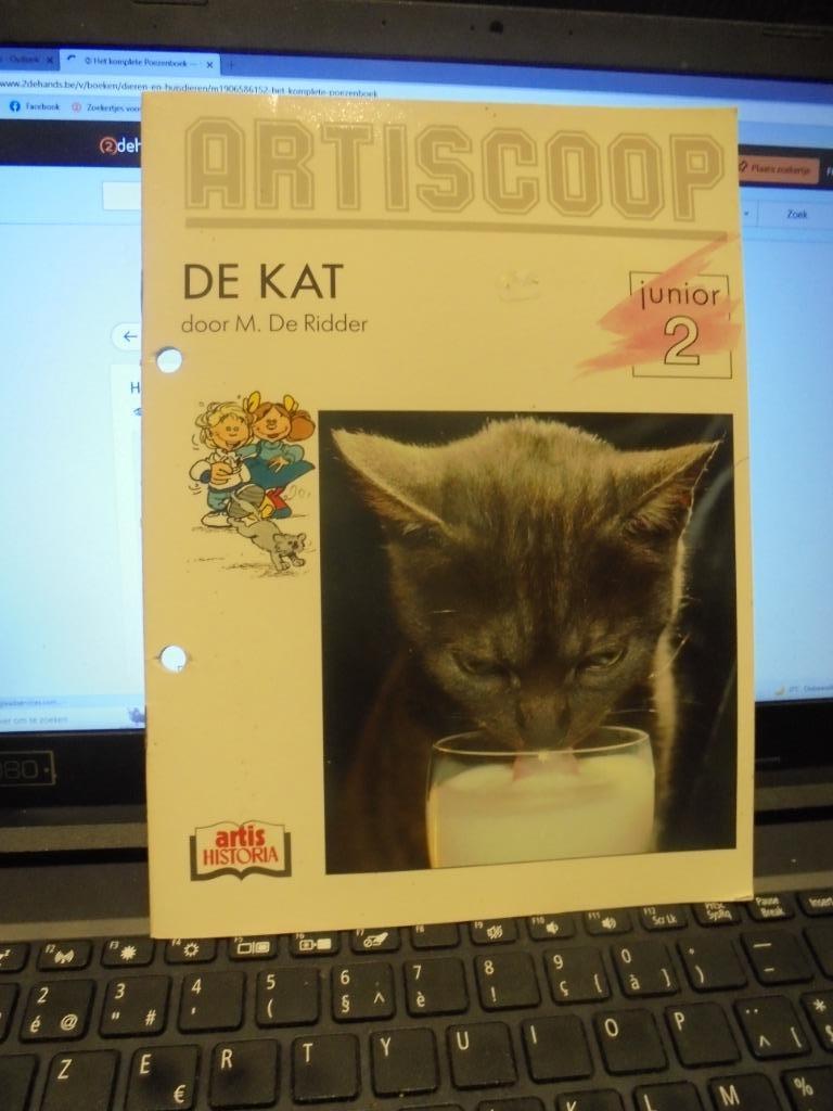 de kat, Enlèvement ou Envoi, Comme neuf, Chats
