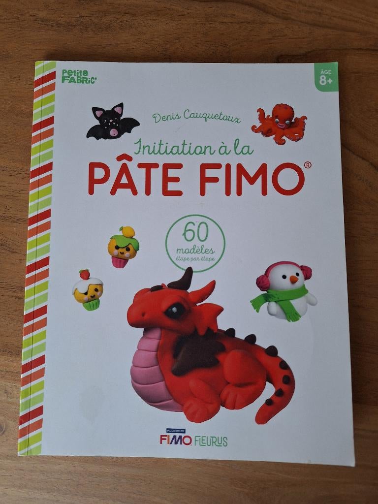 Livre initiation pâte fimo, Livres, Loisirs & Temps libre, Denis Cauquetoux, Enlèvement, Modelage, Utilisé