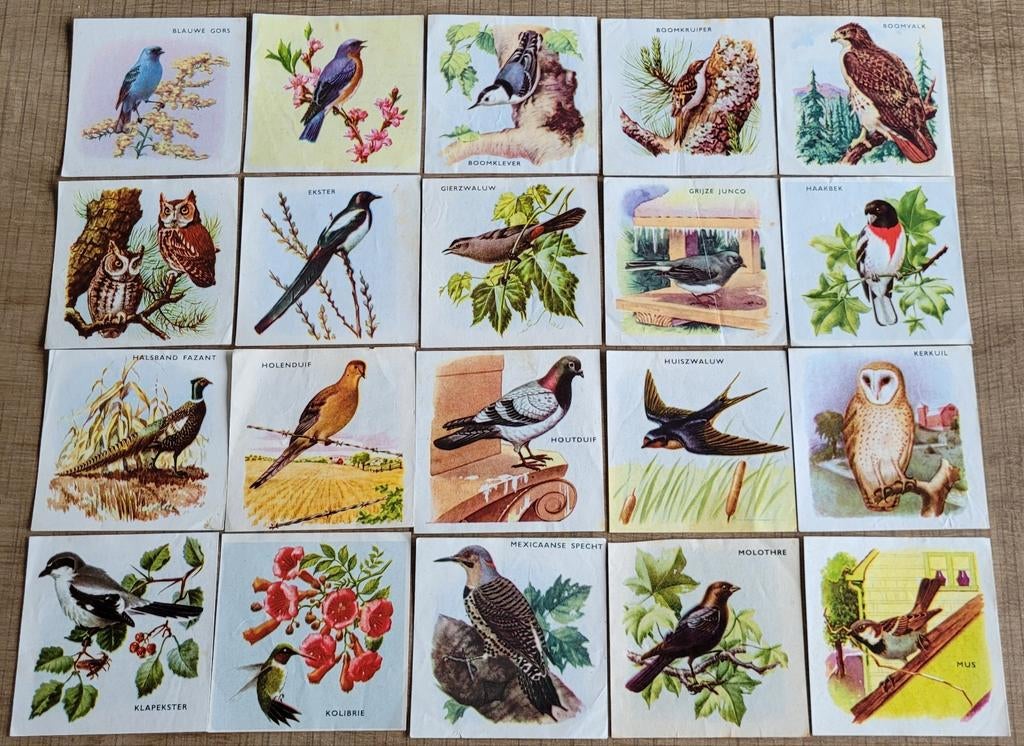 35 oude prentjes reeks vogels (FORT), Verzamelen, Ophalen of Verzenden, Gebruikt, Dier, Prent