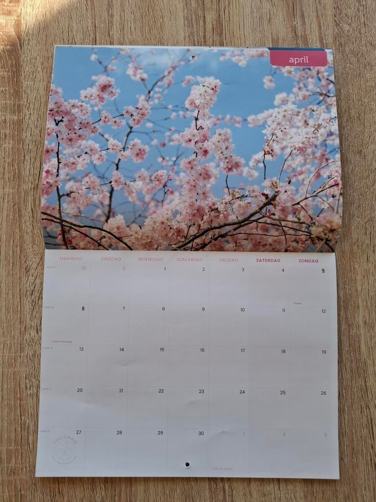Kalender 2026, Ophalen of Verzenden, Maandkalender, Nieuw