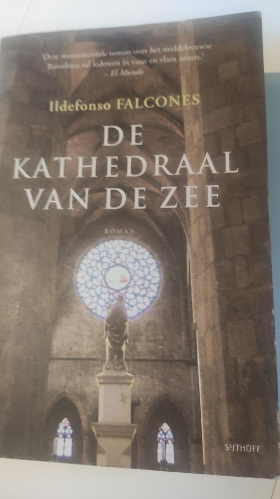 Ildefonso Falcones - De kathedraal van de zee, Boeken, Ophalen of Verzenden, Zo goed als nieuw, Ildefonso Falcones