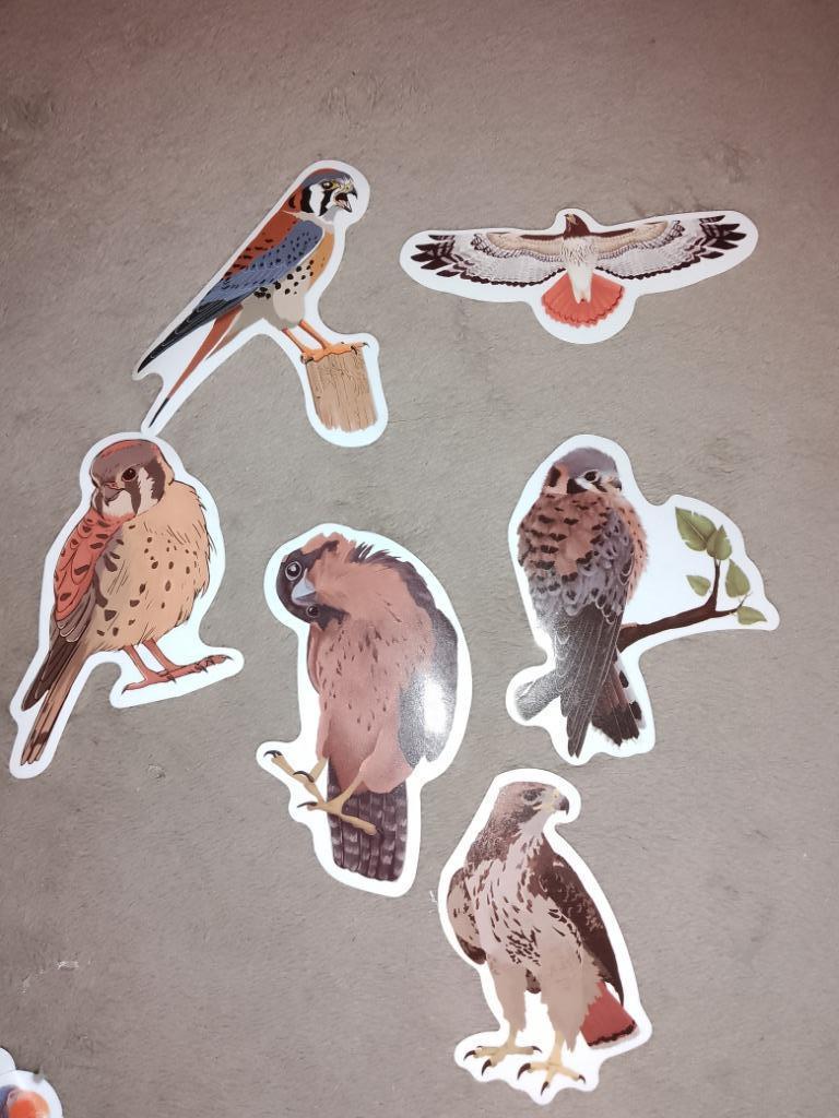 Stickers roofvogels, Verzenden