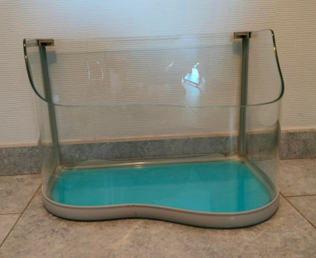 Aquarium met onderaan blauwe zee. Visjes of schildpadjes, Ophalen