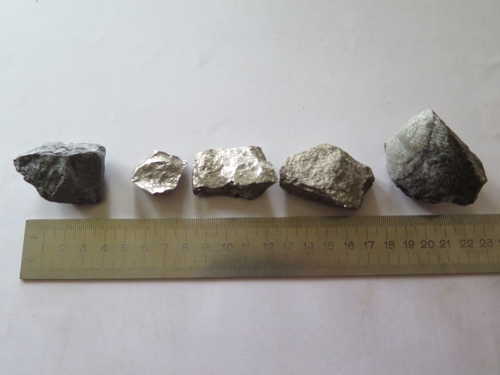 pierres et fossile, Enlèvement ou Envoi, Fossile