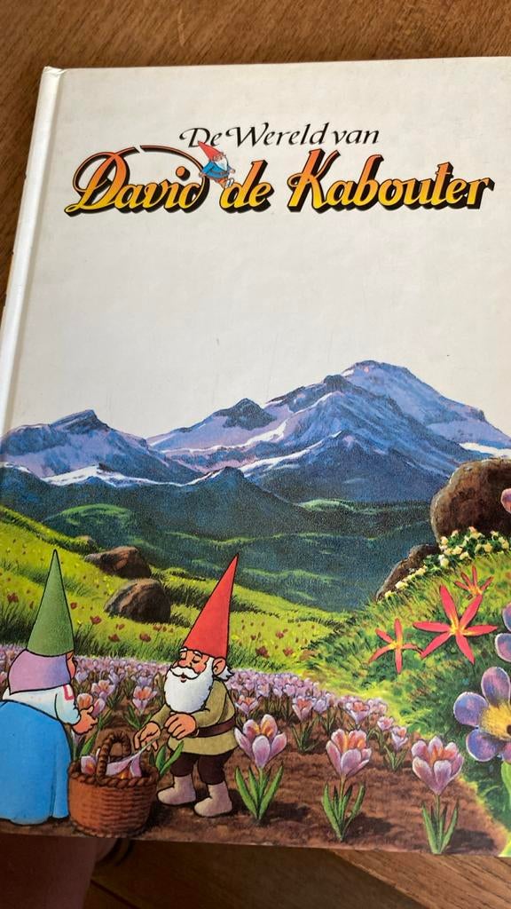 David de kabouter, boek 11, Ophalen of Verzenden, Zo goed als nieuw