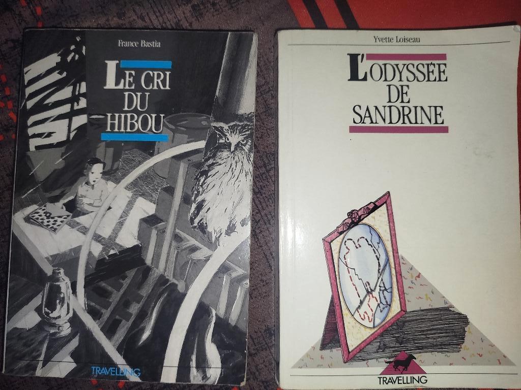 Livre scolaire, Boeken, Ophalen of Verzenden, Zo goed als nieuw, Fries