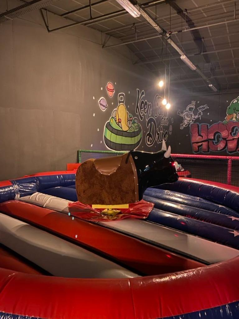 Rodeostier nieuw, Enlèvement, Neuf