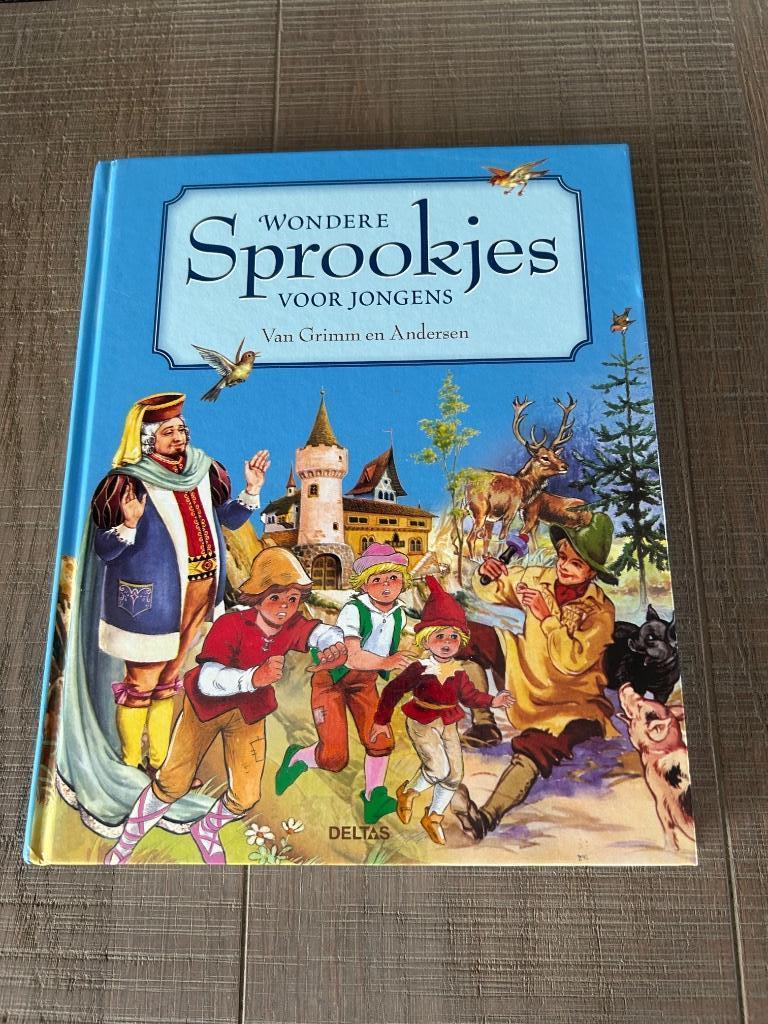 Boek: Wondere sprookjes voor jongens, Enlèvement ou Envoi, Comme neuf