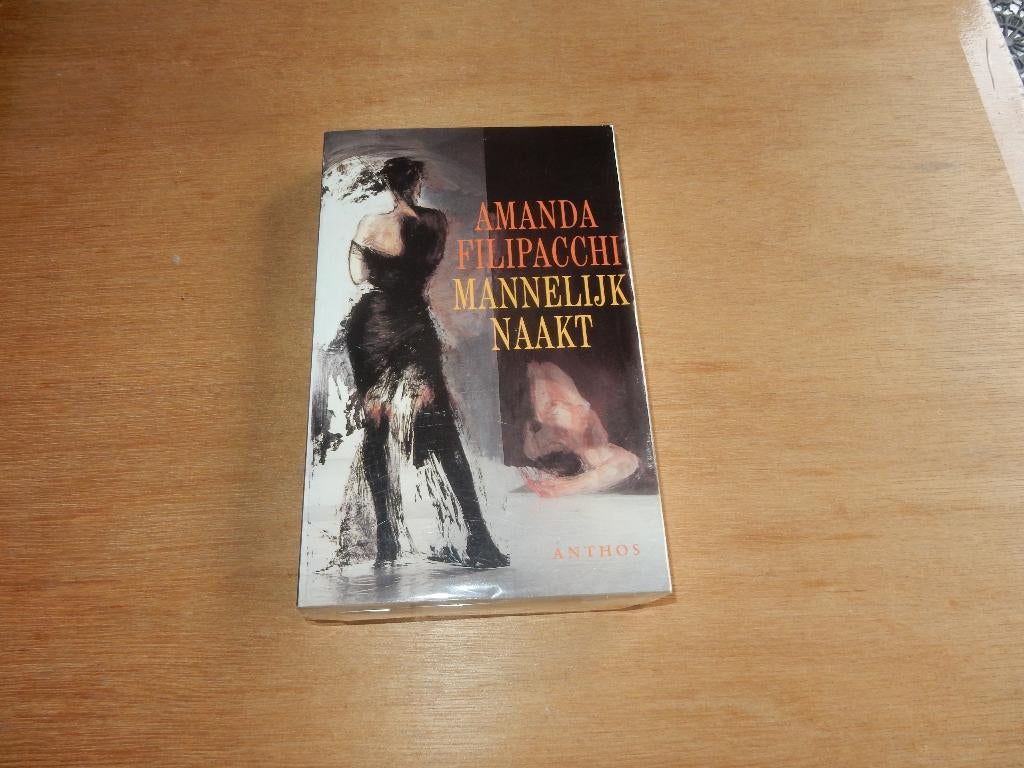 nr.317 - Mannelijk naakt - Amanda Filipacchi - roman, Boeken, Ophalen of Verzenden