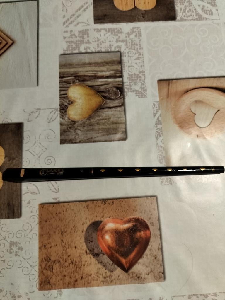 Clarke tin whistle, Muziek en Instrumenten, Blaasinstrumenten | Overige, Ophalen