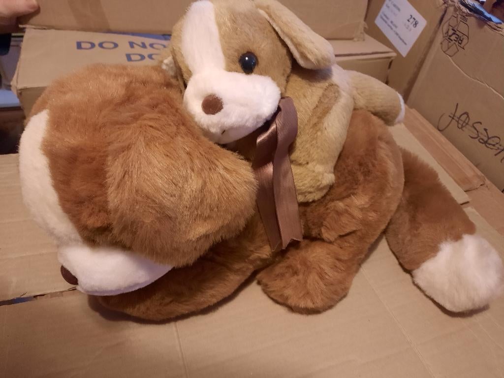 grote zachte knuffel poes splinternieuw, Ophalen of Verzenden, Nieuw