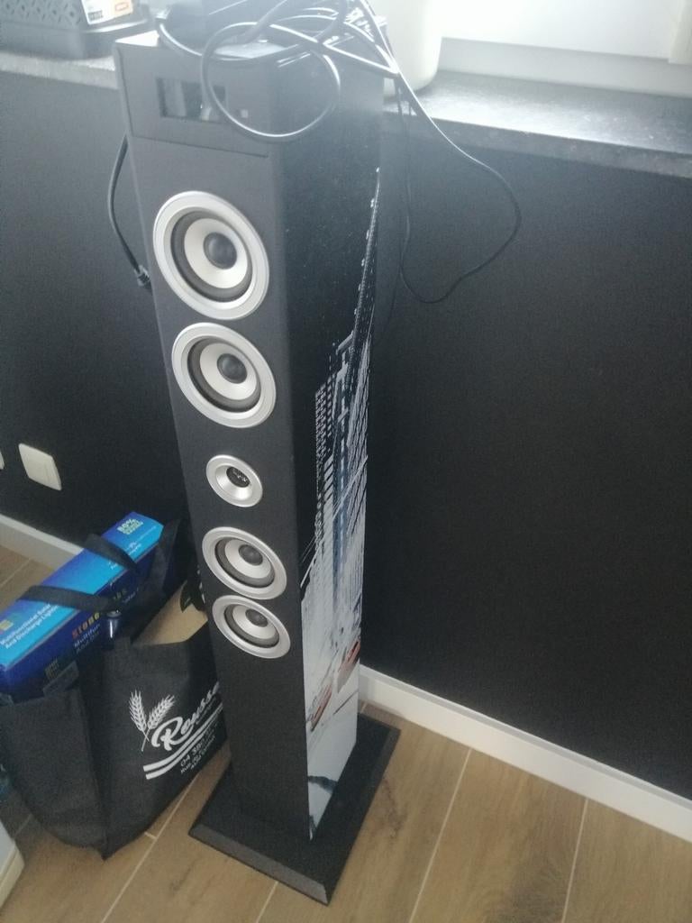 Enceinte..., Audio, Tv en Foto, Ophalen, Zo goed als nieuw