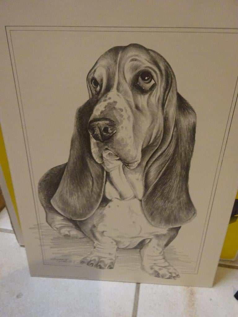tekening hush puppy, Ophalen