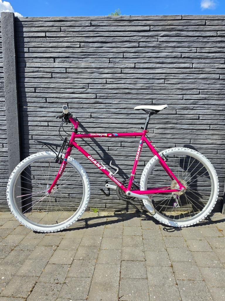Magnifique vtt rétro vintage Giant Coldrock en acier Crmo 19, Vélos & Vélomoteurs, VTT rigide, Frein sur jante, Enlèvement, 53 à 57 cm