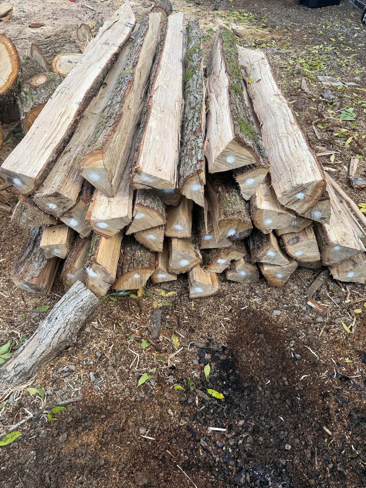 Piquet de chène, Poteaux, Enlèvement ou Envoi, Bois dur, Comme neuf