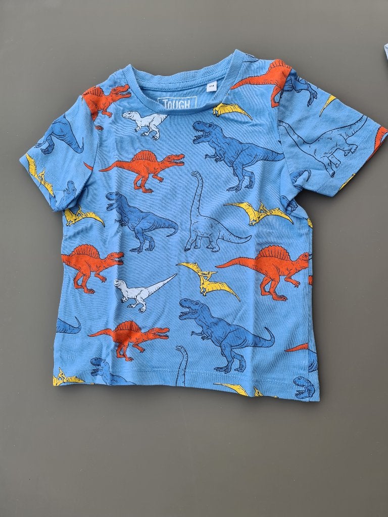 blauw t-shirt met dino, CA, 104, Enfants & Bébés, Vêtements enfant | Taille 104, Enlèvement, Comme neuf