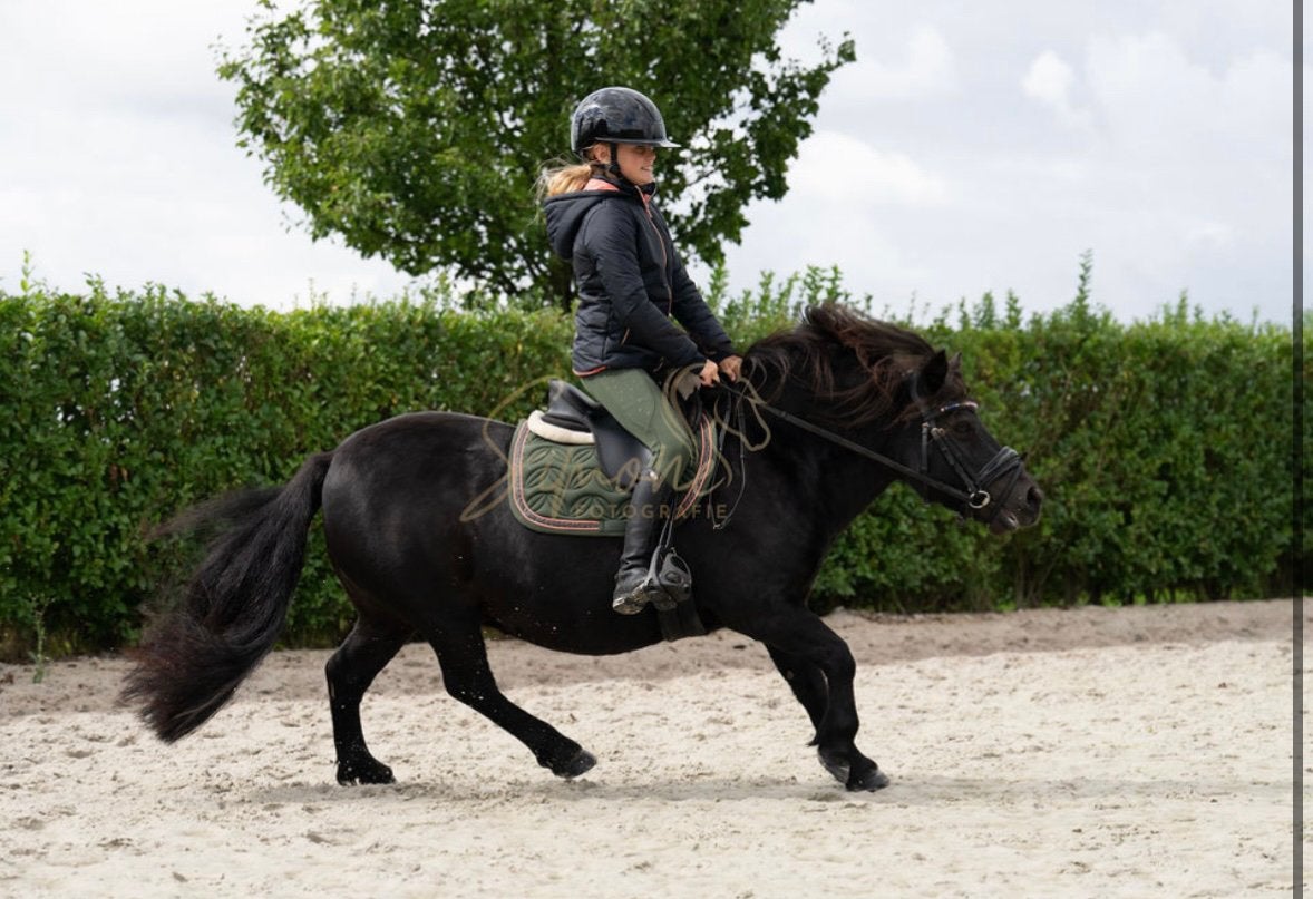 Mega lieve gereden kinderpony shetland merrie, Dieren en Toebehoren, Merrie, Met stamboom, Zadelmak, A pony (tot 1.17m)