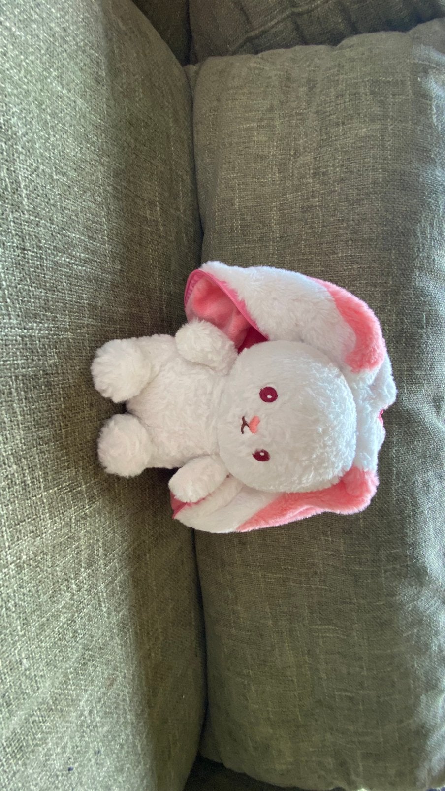 Konijn in aardbeijasje, Enfants & Bébés, Enlèvement, Comme neuf, Lapin