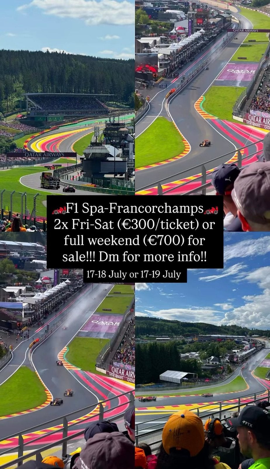 F1 gold 3 eau rouge