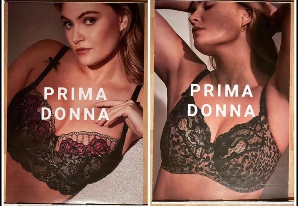 Affiche’s Lingerie, Ophalen of Verzenden, Deurposter of groter, Rechthoekig Staand, Overige onderwerpen