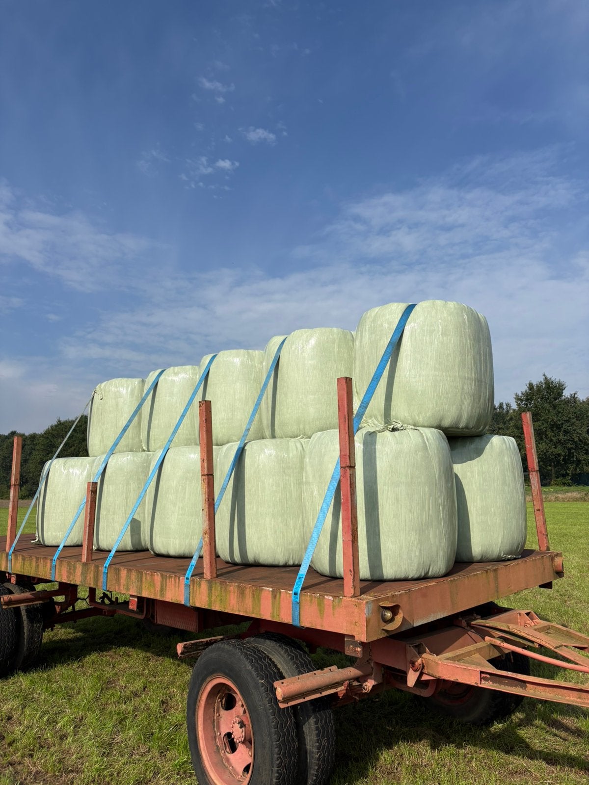 Voordroog/ hooi midi balen, Dieren en Toebehoren, Ophalen, Vee