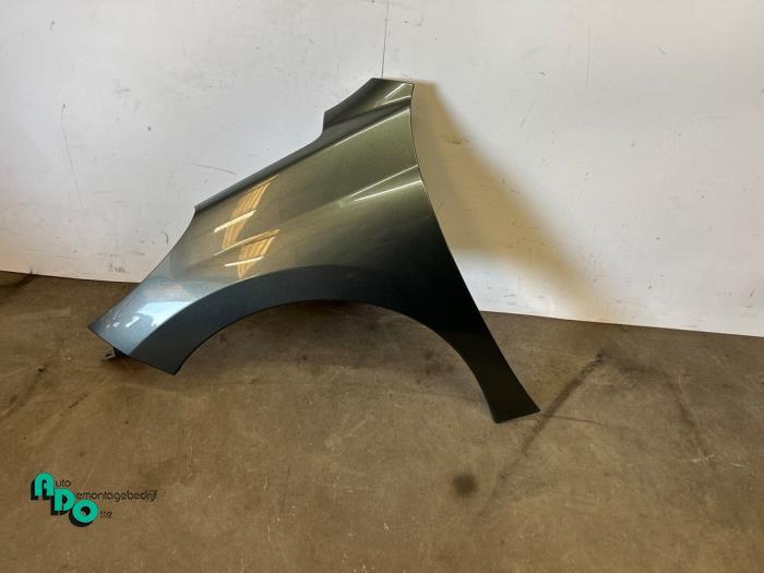 Aile avant gauche d'un Peugeot 207 (207 06-), -, 3 mois de garantie, Utilisé, -
