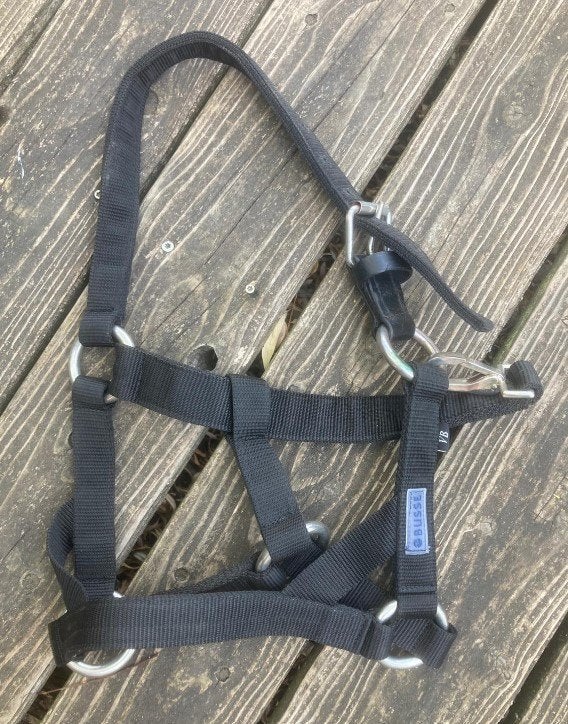 Licol Busse — taille Pony — NOUVEAU, Animaux & Accessoires, Neuf, Noir, Enlèvement ou Envoi, Poney