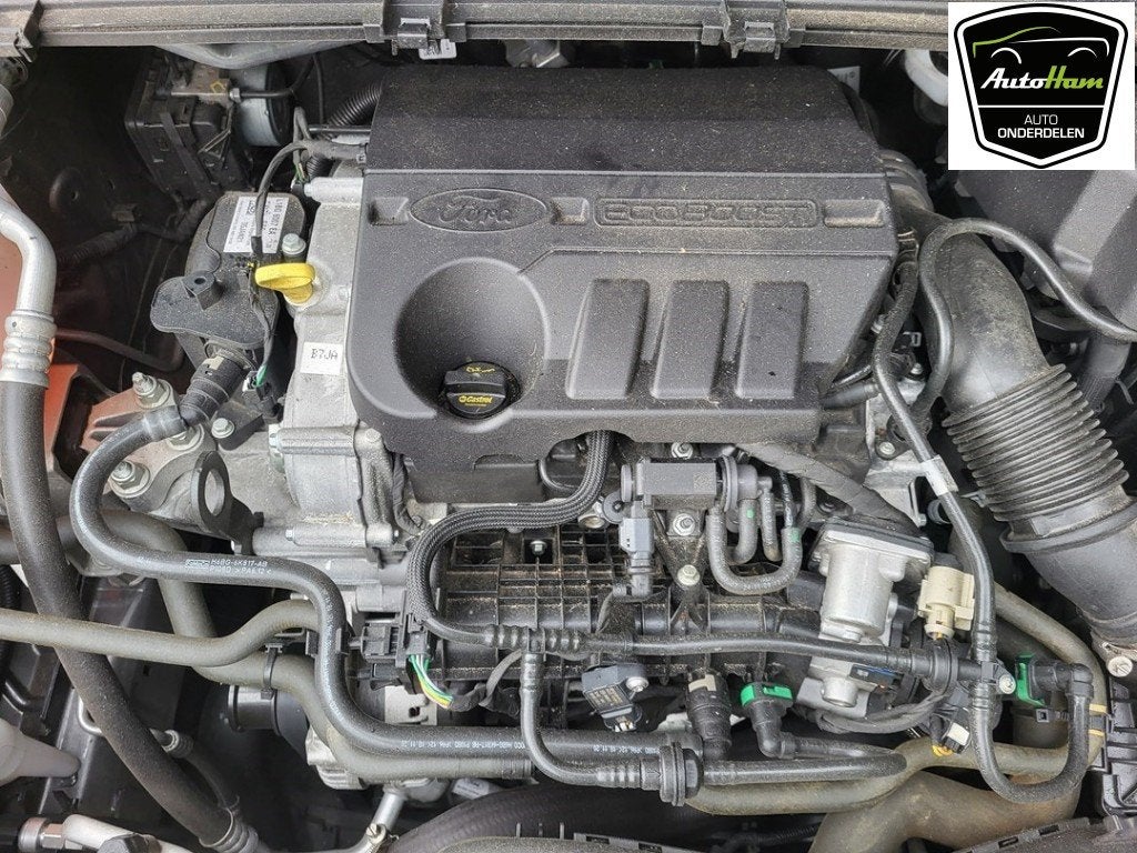 MOTOR Ford Puma (01-2019/-) (|2462618|L1BG6006MA|), Dhr. J. Ham, Gebruikt, Administratie@autoham.nl, Ford
