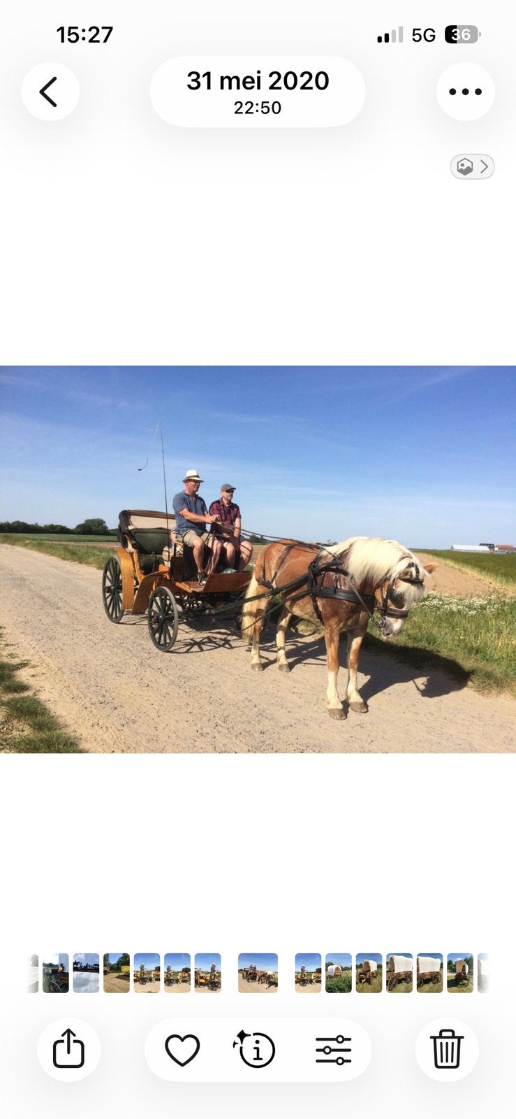 Mooie parkwagen, Animaux & Accessoires, Voitures & Carrosses, Comme neuf