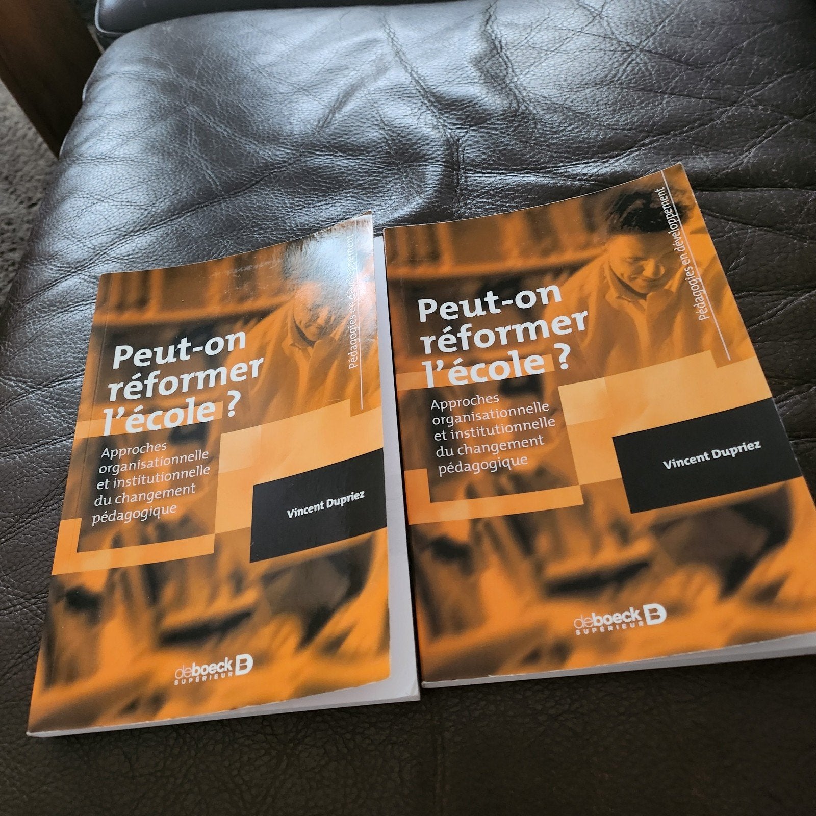 2 livres identiques, Enlèvement, Comme neuf
