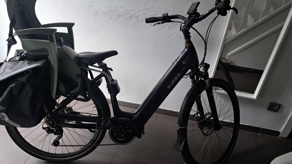 elecfietsdame, Fietsen en Brommers, Fietsen | Dames | Damesfietsen, Ophalen, Gebruikt, Schijfrem
