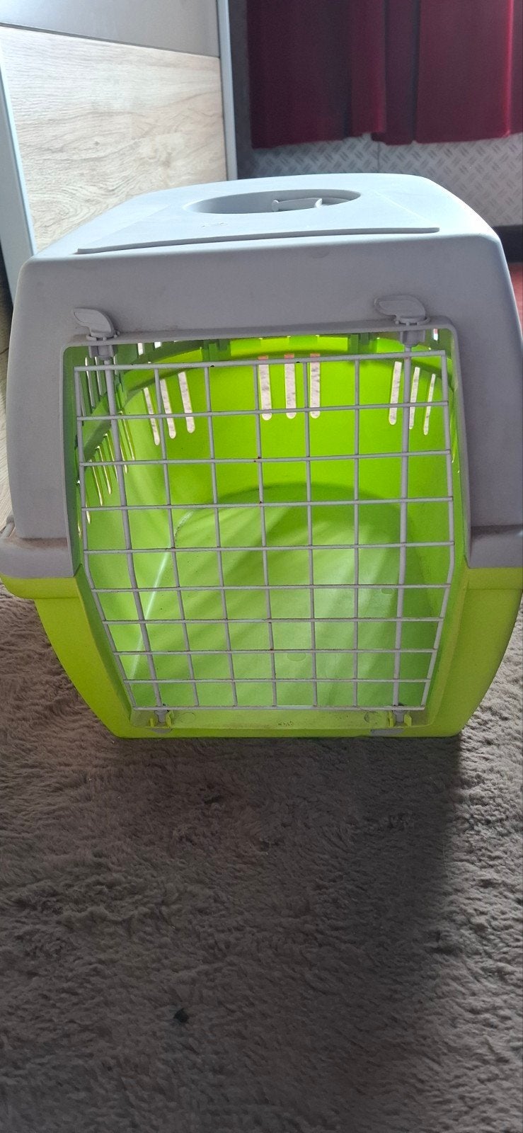 apportez une cage pour chats ou un petit chien., Enlèvement, Neuf, Caisse ou Boîte de transport