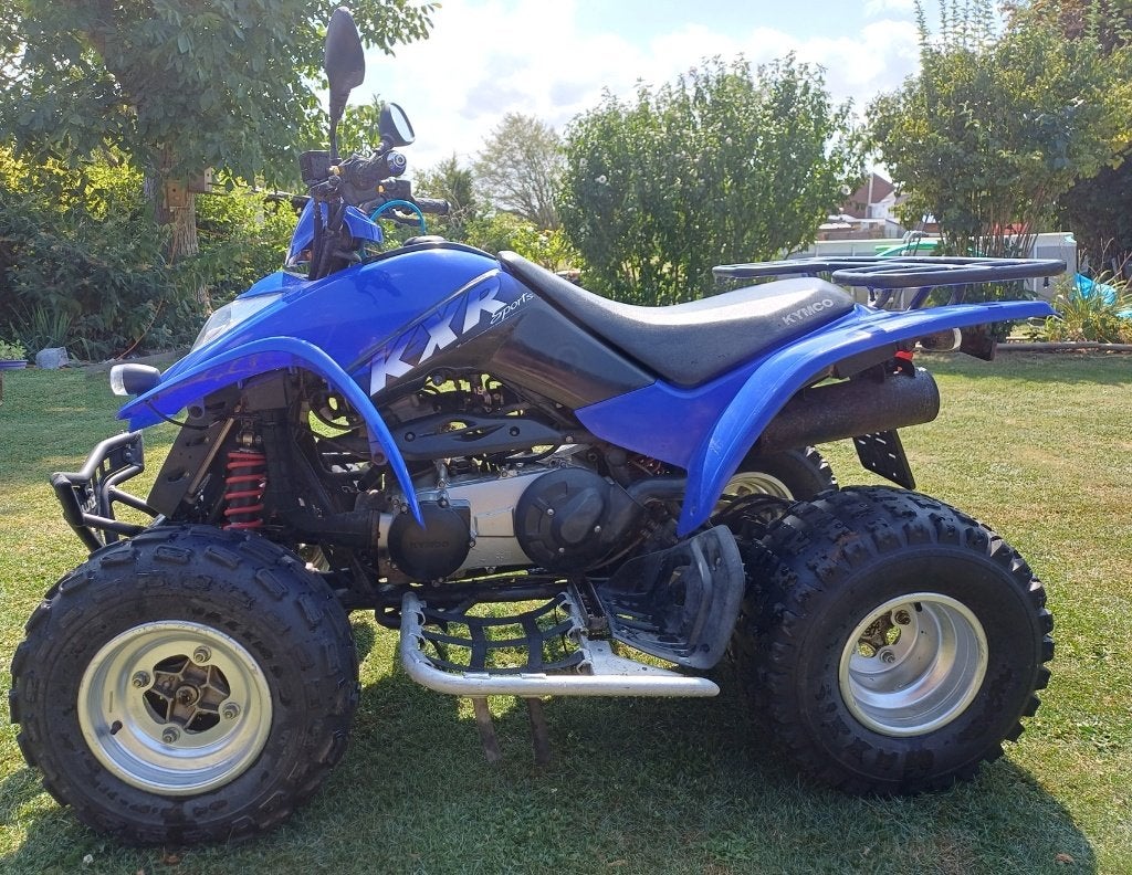 quad, Motoren, Quads en Trikes, 250 cc, 1 cilinder, 12 t/m 35 kW