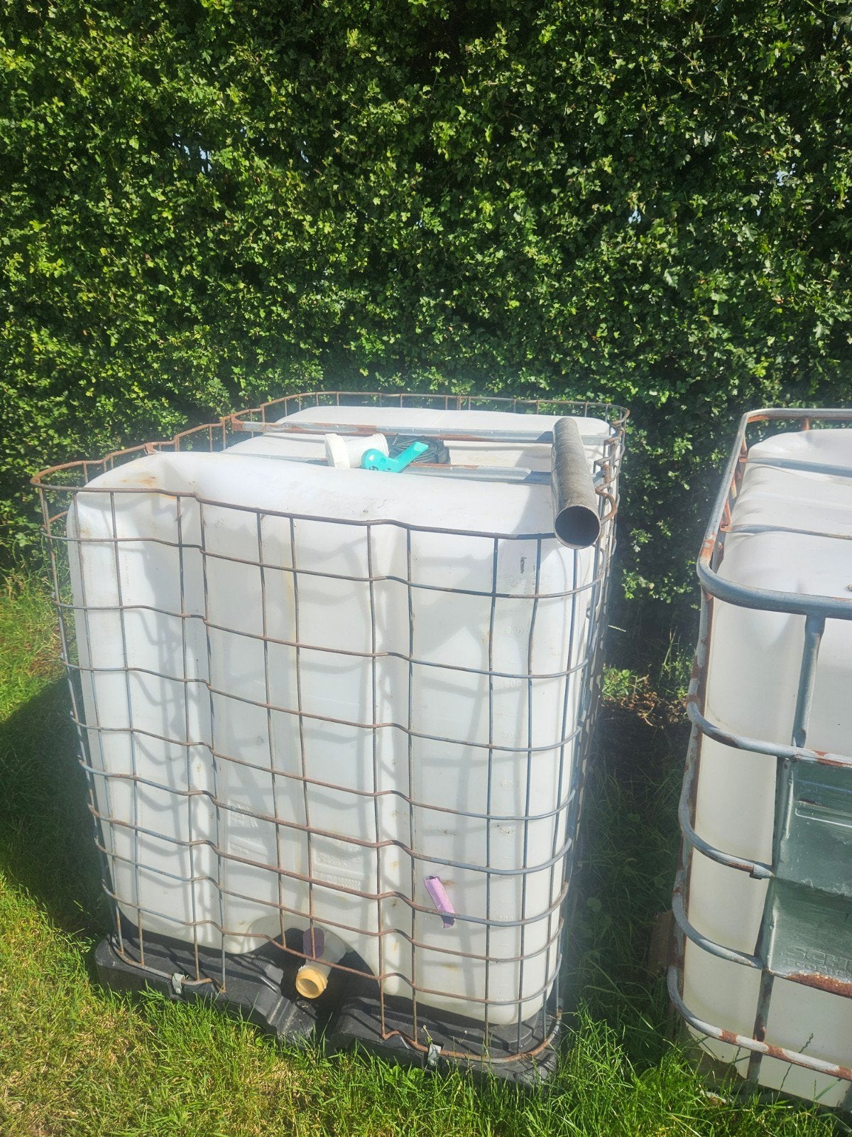 Waterton ibc container, Ophalen, Gebruikt, Kunststof, Met kraantje