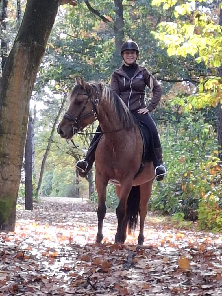 Très jolie jument en peau de daim, Animaux & Accessoires, Jument